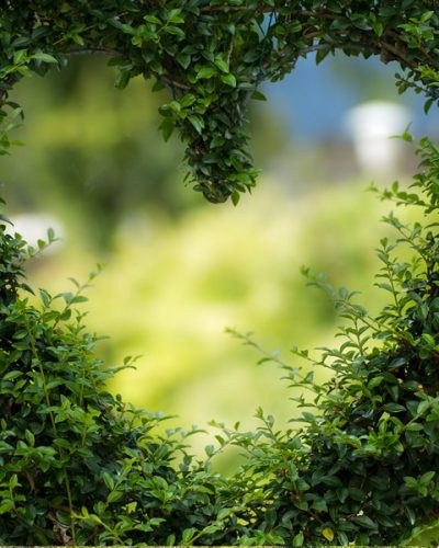 Woodstreet-Garden Wedding Heart Of Surrey_